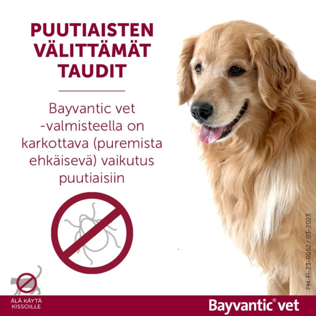 Bayvantic Vet suojaa puutiaisten välittämiltä taudeilta