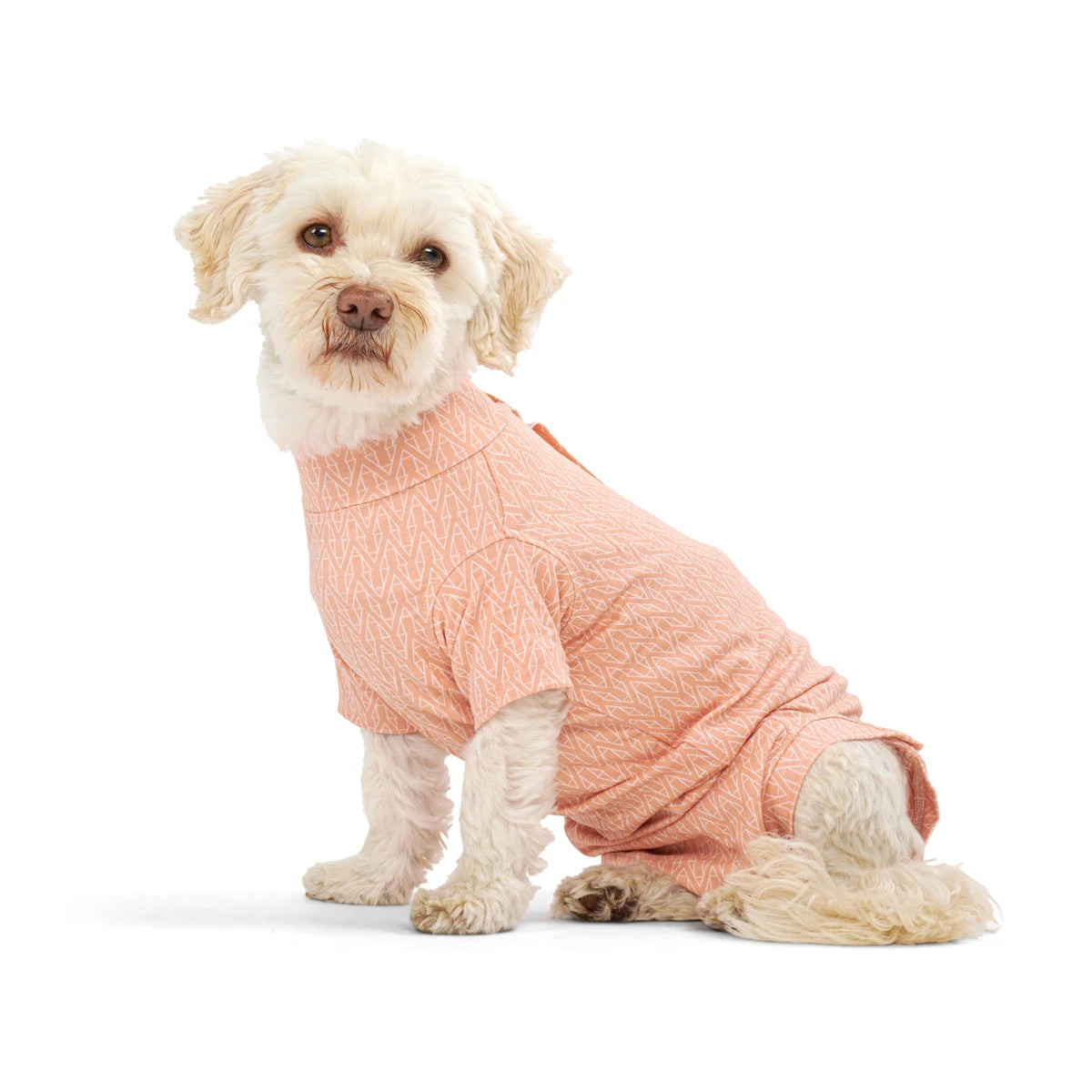 BUSTER Body Suit Stepn Go For Dogs Orange toipilaspuku koirille, koko XS