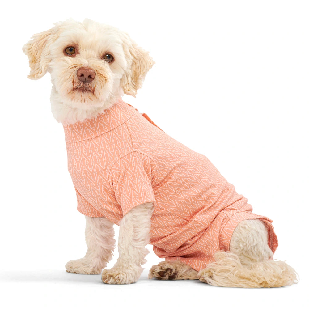 BUSTER Body Suit Stepn Go For Dogs Orange toipilaspuku koirille, koko S