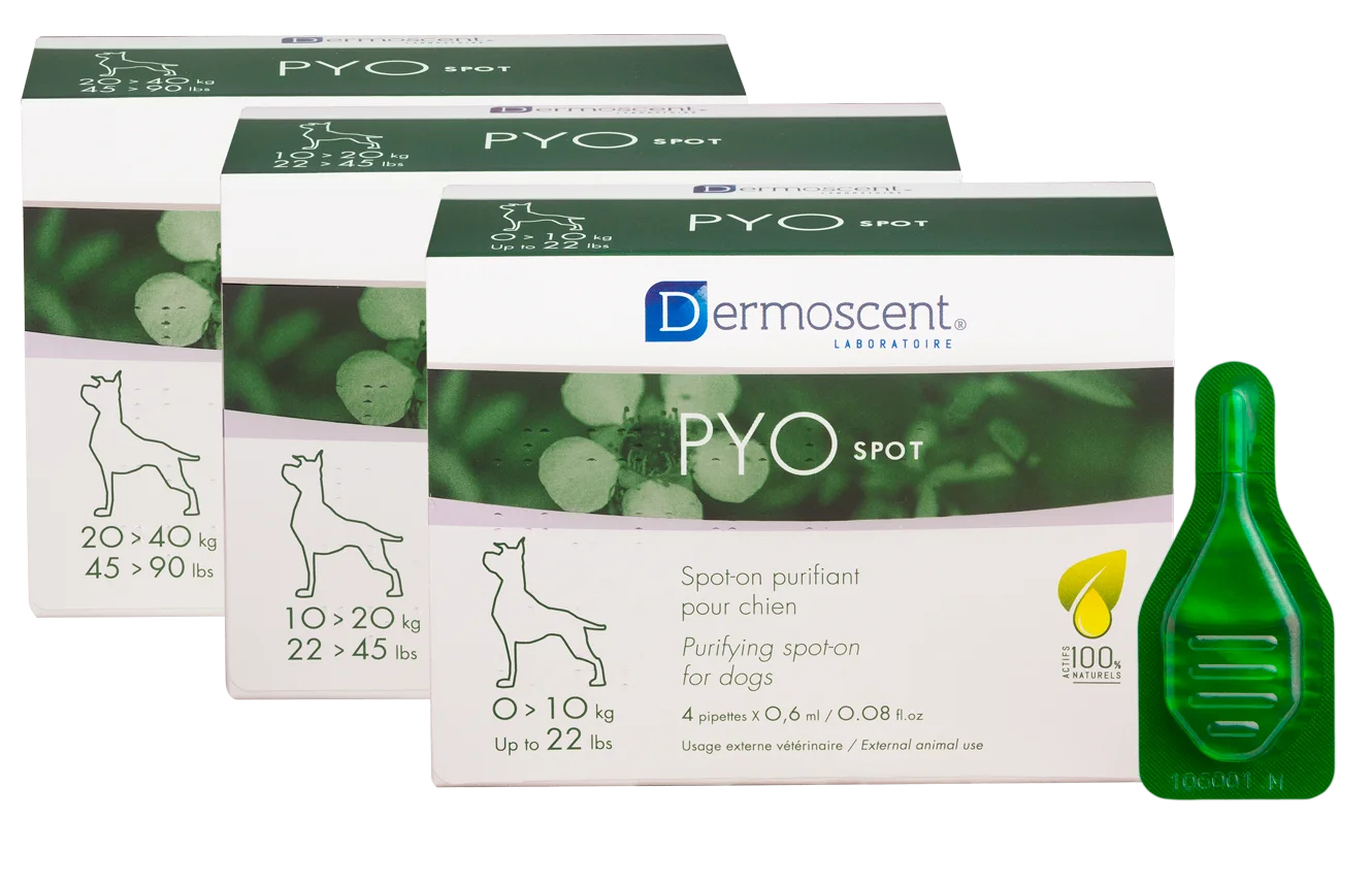 PYOSPOT Dog spot-on puhdistava paikallisvaleluliuos  10-20 kg koirille 4x1,2 ml